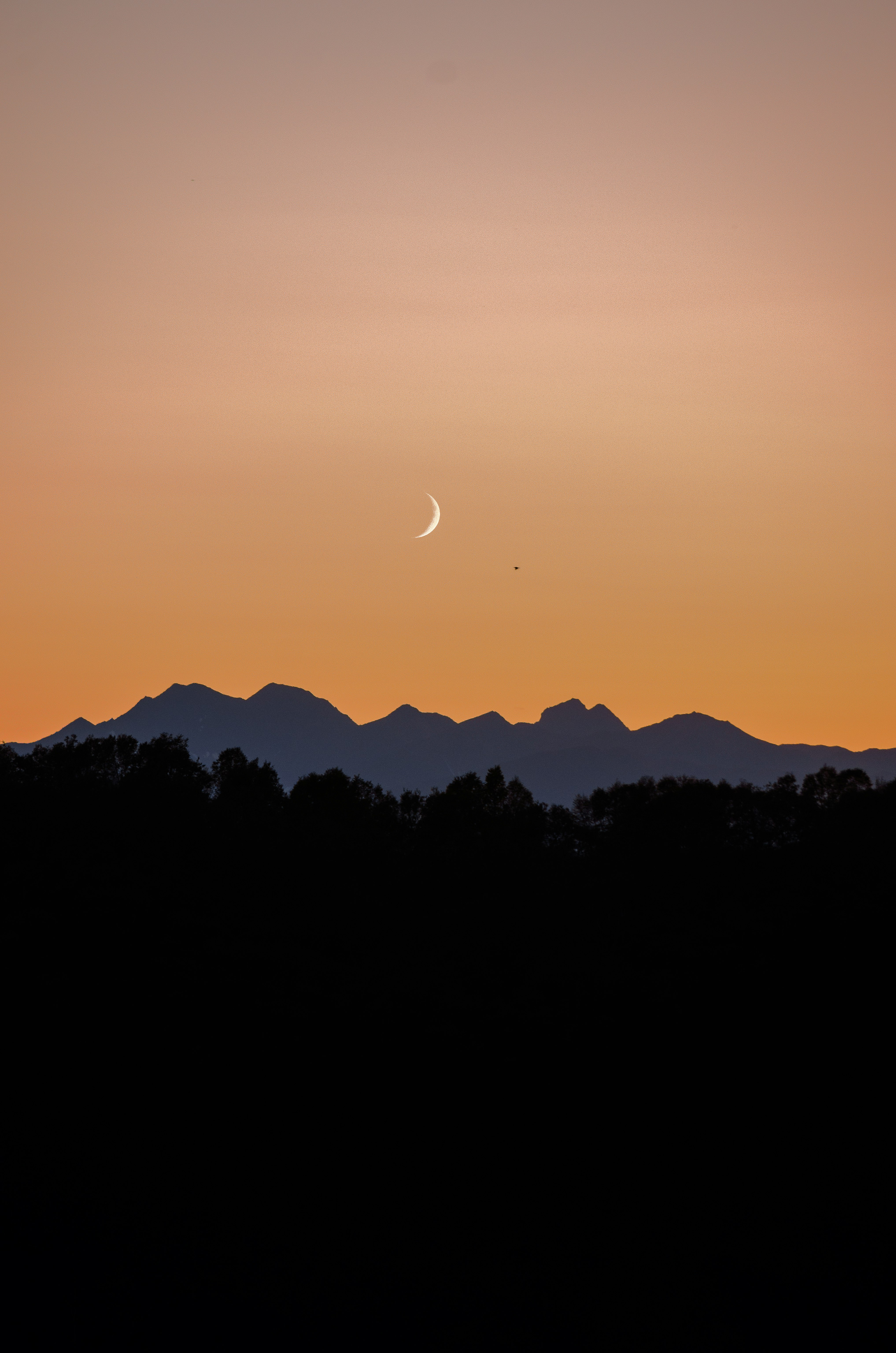 silhouette of mountain during sunset